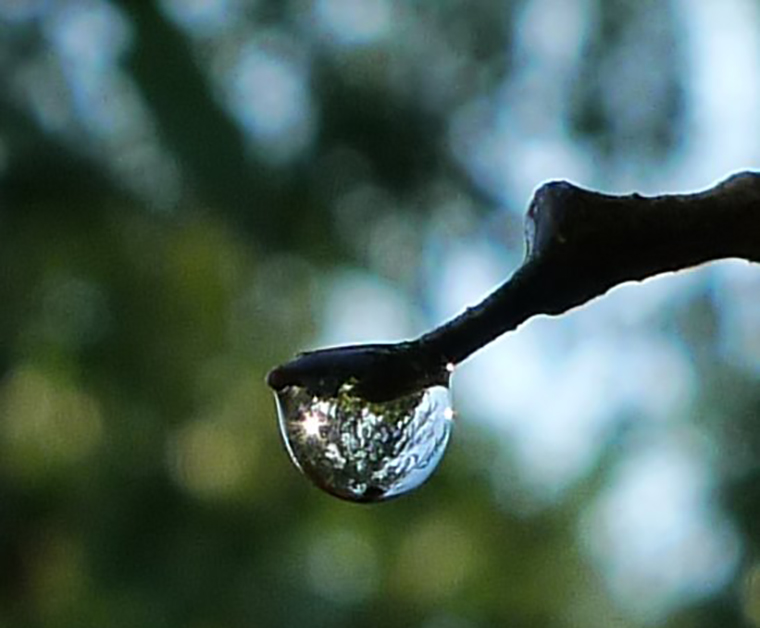 NEI_praktijk_Valkenswaard
